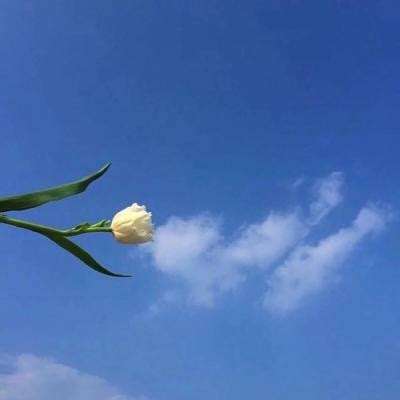 闪电喵最新版